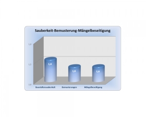 Diagramm - Erfahrung im Hausbau mit der Klee-Haus Baupartner GmbH - Auszug 9